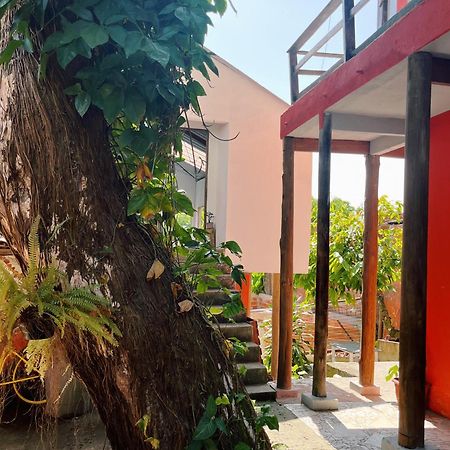 Ferienwohnung Morada Cacauera Itacaré Exterior foto