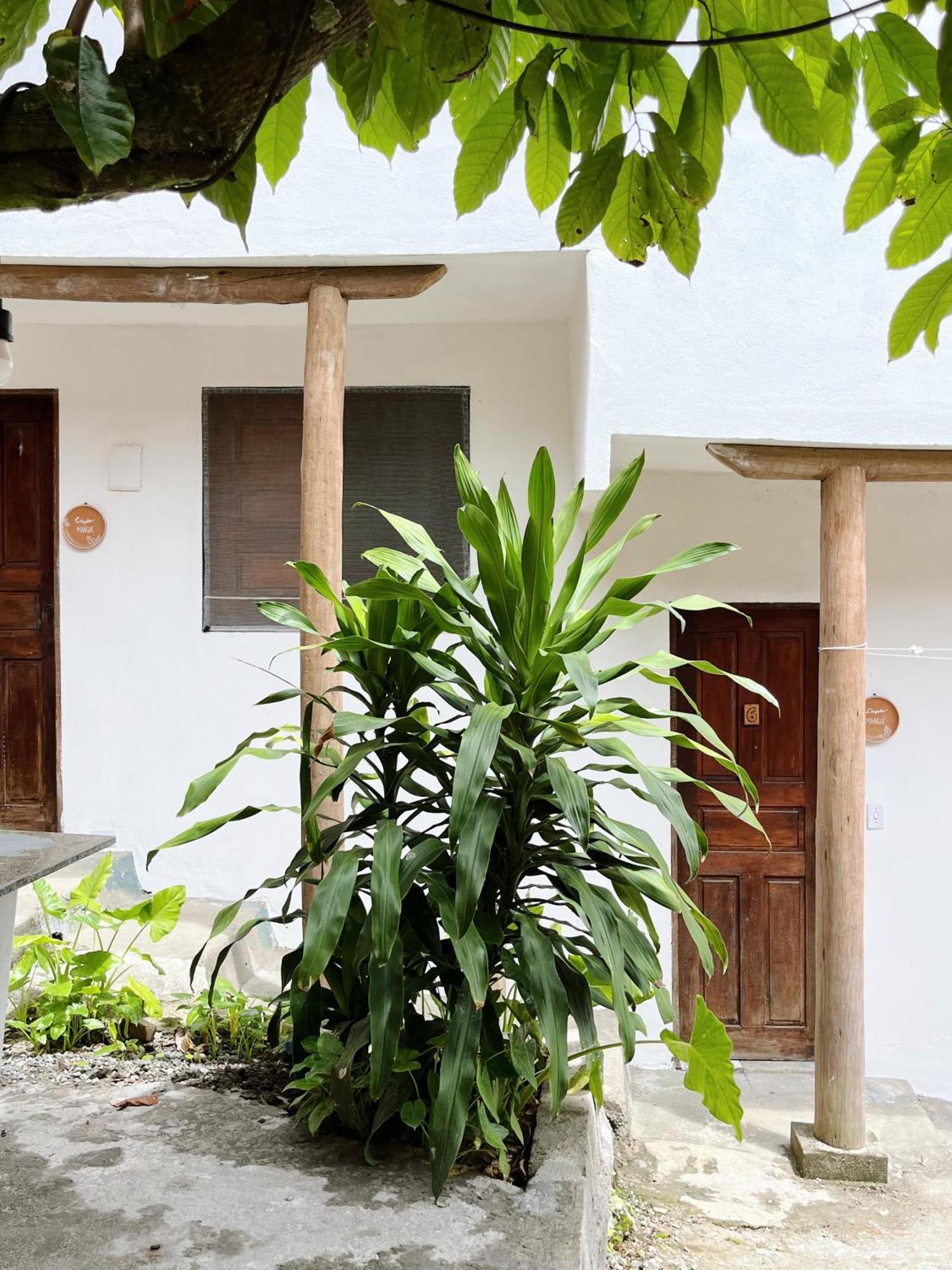 Ferienwohnung Morada Cacauera Itacaré Exterior foto
